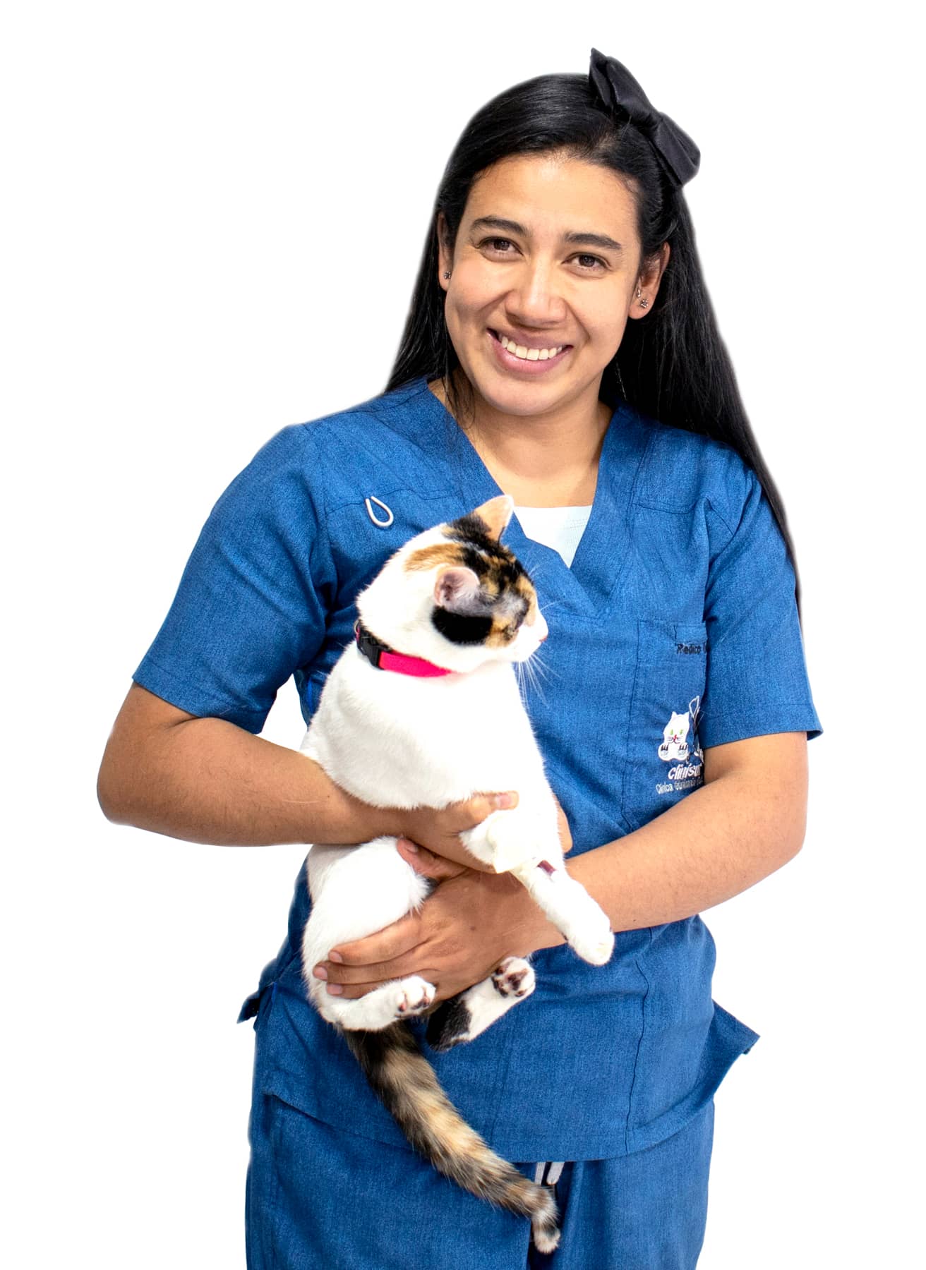 consulta-gatos-clinisur-veterinaria_2 consulta veterinaria gatos