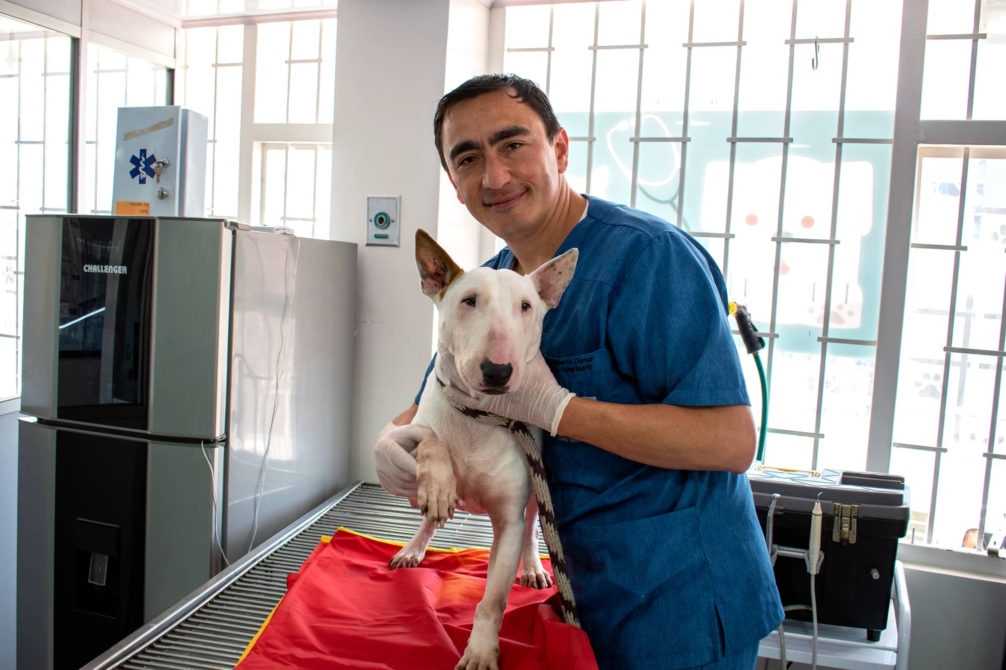 consulta-perros-clinisur-veterinaria_3 Consulta veterinaria para perros Bogotá