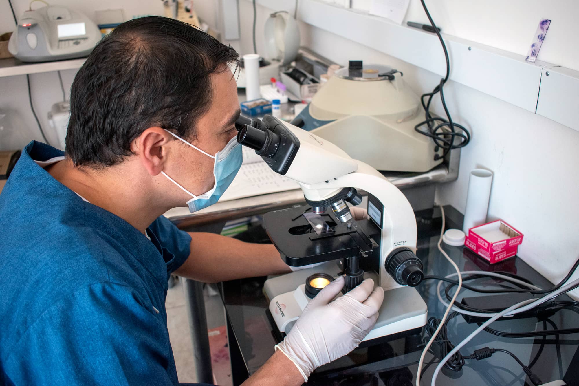 -laboratorio-veterinaria-clinisur_3 Laboratorio clínico para perros y gatos clinisur