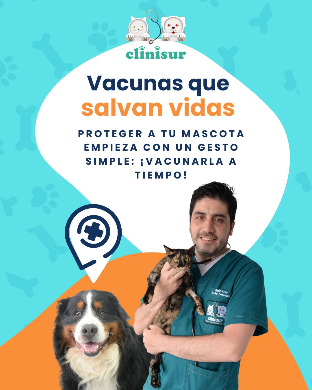 Calendario de vacunación para perros y gatos: guía completa por edades 🐶🐱